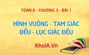 Hình vuông, Tam giác đều, Lục giác đều là gì? Có đặc điểm...